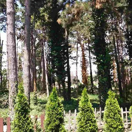 Pendik *
